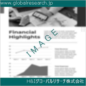 グローバルリサーチ調査資料のイメージ